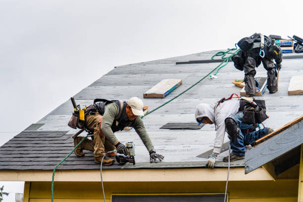 Professional Flat Roof Repair technician working in Galesville, WI